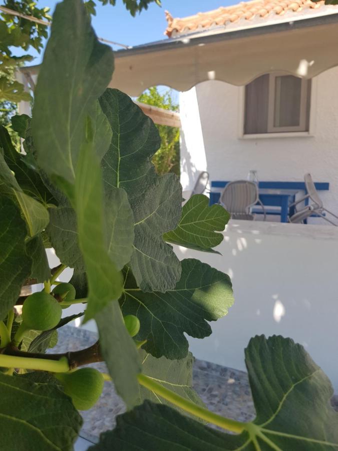 Eleni B&B Limani Kapis エクステリア 写真