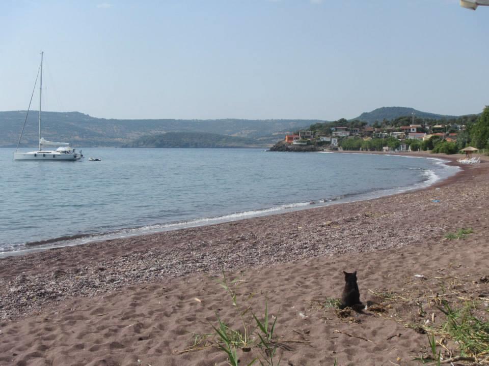 Eleni B&B Limani Kapis エクステリア 写真